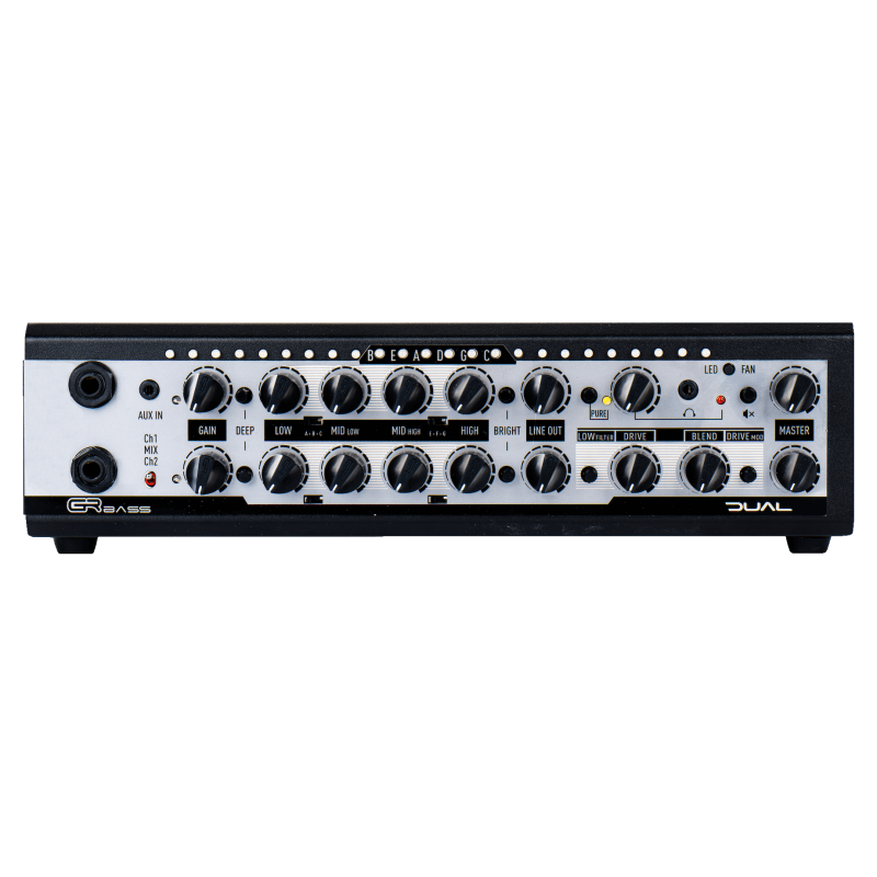 CABEZAL DE BAJO DUAL 800W