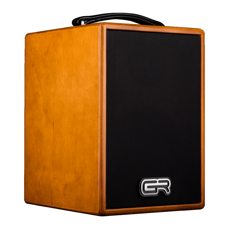 AMPLIFICADOR COMBO ACÚSTICA WD5 80W