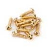 Tornillos afinador Fender 3 x 3/8 dorados 12ud | MÚSICA BILBAO