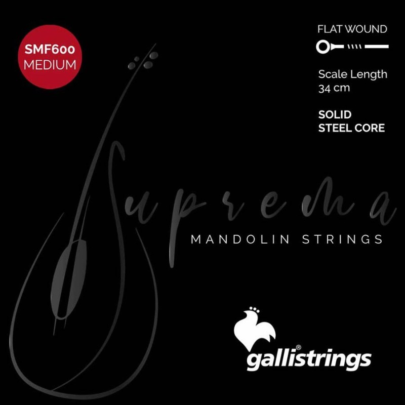 string set mandolin, chrome steel flatwound, mediu | MÚSICA BILBAO