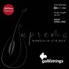 string set mandolin, chrome steel flatwound, mediu | MÚSICA BILBAO