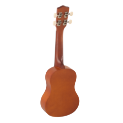 PLAT500B - Estuche Bajo Electrico Platinum PLAT500B - Ashton