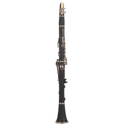 CLARINETE AMADEUS CL-804N17