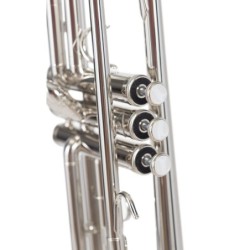 SAXO ALTO AMADEUS AL802L