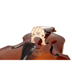 CONTRABAJO CARLO GIORDANO SB150 DE 3/4 | MÚSICA BILBAO