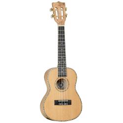 GUITARRA ACÚSTICA TANGLEWOOD TW9 SUPER FOLK CUTAWAY