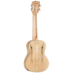 GUITARRA ACÚSTICA TANGLEWOOD TW9 SUPER FOLK CUTAWAY