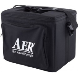 AMPLIFICADOR AER COMPACT 60-4 ROBLE