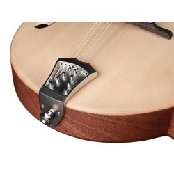 Mandolina est. F Richwood MACIZO arce-abeto natu | MÚSICA BILBAO