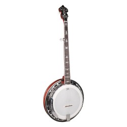 Banjo Bluegrass 5 cuerdas Richwood aluminio 24T | Música Bilbao
