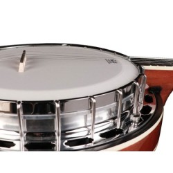 Banjo Bluegrass 5 cuerdas Richwood aluminio 24T | MÚSICA BILBAO