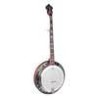 Banjo Bluegrass 5 cuerdas Richwood aluminio 24T | MÚSICA BILBAO