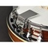 Banjo 6 cuerdas Richwood caoba 24T | MÚSICA BILBAO