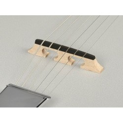 Banjo 6 cuerdas Richwood caoba 24T | MÚSICA BILBAO