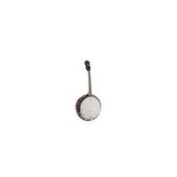 Banjo 4 c. Richwood caoba 24T 17 trastes | MÚSICA BILBAO