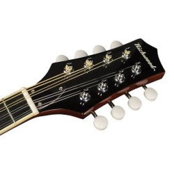 Mandolina estilo A Richwood abeto sunburst | MÚSICA BILBAO