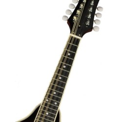 Mandolina estilo A Richwood abeto sunburst | MÚSICA BILBAO