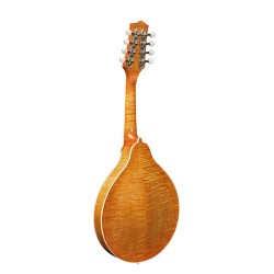 Mandolina A Richwood arce-abeto macizo ámbar | MÚSICA BILBAO