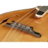 Mandolina A Richwood arce-abeto macizo ámbar | MÚSICA BILBAO