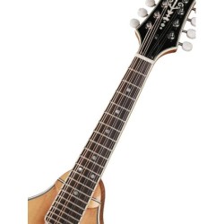 Mandolina A Richwood arce-abeto macizo ámbar | MÚSICA BILBAO