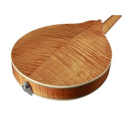 Mandolina A Richwood arce-abeto macizo ámbar | MÚSICA BILBAO