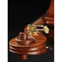 Contrabajo Rudolph 3/4 modelo gamba | MÚSICA BILBAO