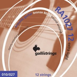 12-string set acoustic 80/20 bronze, light, 2x010- | MÚSICA BILBAO