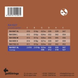 12-string set acoustic 80/20 bronze, light, 2x010- | MÚSICA BILBAO