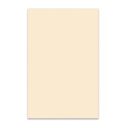 MATERIAL GOLPEADOR BOSTON 3C 45x29cm BLANCO | MÚSICA BILBAO