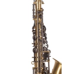 SAXO ALTO J. MICHAEL BPAL-AL1100AG
