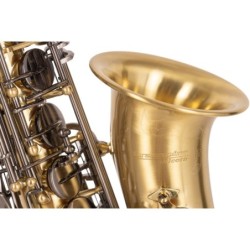 SAXO ALTO J. MICHAEL BPAL-AL1100AG