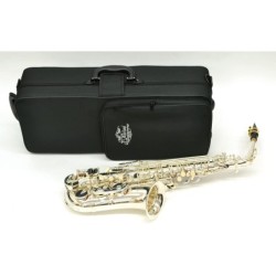 SAXO ALTO J. MICHAEL PLATEADO AL900S