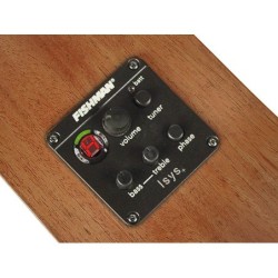 Guit. acú. E parlor Richwood ARTESANA | MÚSICA BILBAO