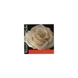 Jgo cuerdas Pirastro violín medium | MÚSICA BILBAO