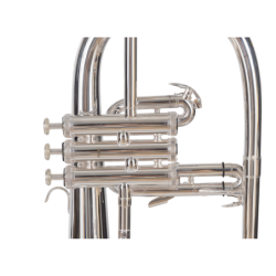 FLISCORNO J. MICHAEL PLATEADO FG550S