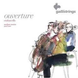 cello string set, 1/2, premium steel core | MÚSICA BILBAO