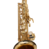 SAXO ALTO J. MICHAEL LACADO AL500