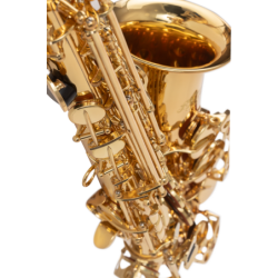 SAXO ALTO J. MICHAEL LACADO AL500