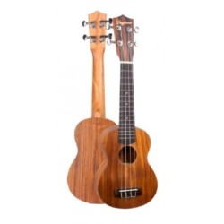 GUITARRA ACÚSTICA DAYTONA A401 EXOTIC MINI JUMBO KOA