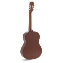 GUITARRA ACÚSTICA TANGLEWOOD ELECTRIFICADA TW15HE DREADNOUGHT