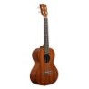 UKELELE TENOR KALA SERIE MAKALA MKT