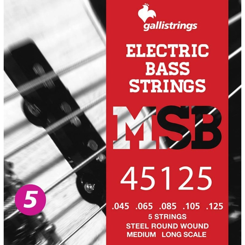 string set electric 5-string bass, steel medium, 0 | MÚSICA BILBAO