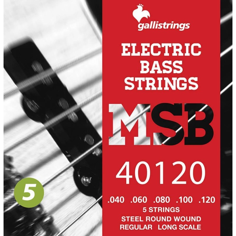 string set electric 5-string bass, steel regular, | MÚSICA BILBAO