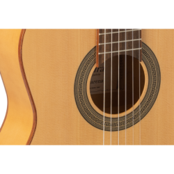 GUITARRA ACÚSTICA TANGLEWOOD TW45RVSE SERIE SUNDANCE PERFORMANCE PRO