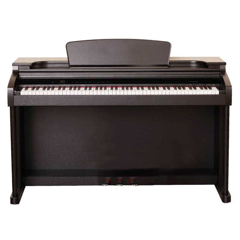 PIANO DIGITAL EKP300 ROSEWOOD NEGRO