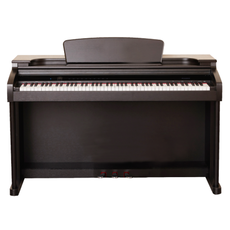 PIANO DIGITAL EKP300 ROSEWOOD NEGRO