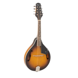 MANDOLINA DAYTONA ML01 | MÚSICA BILBAO