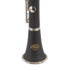CLARINETE J. MICHAEL CL360