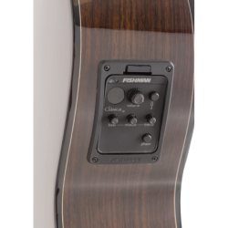 AMPLIFICADOR TANGLEWOOD T-6 60W C/FUNDA