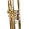 TROMPETA J. MICHAEL DE ESTUDIO LACADA TR200
